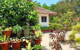 Marari Yoga Homestay
